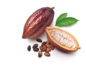 Top view of dark red cocoa pods with dried beans isolated on white background.