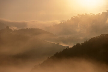 Fog with mountains in morning sunrise. Beautiful nature background.