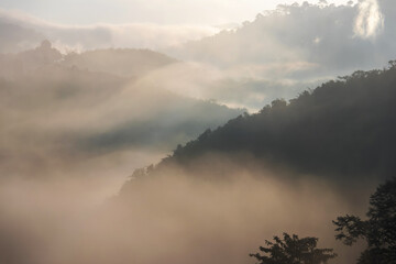 Fog with mountains in morning sunrise. Beautiful nature background.