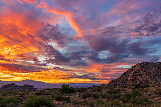 Sonoran Desert Sunrise Skies In Scottsdale, Arizona With Cactus