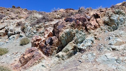 Teneriffa Teide Nationalpark