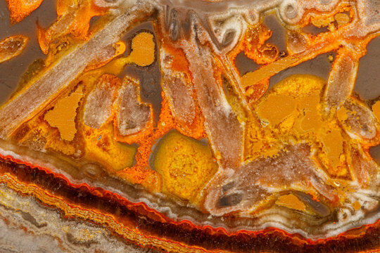 Macro mineral stone "Bee" jasper on a gray background