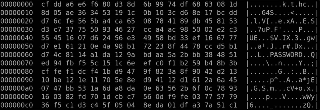 Hex dump of a secret password