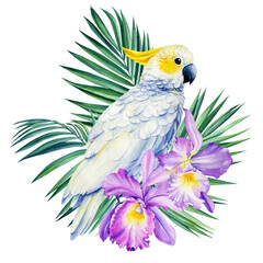 Cockatoo Parrot, palm leaves, tropical flowers orchid, watercolor botanical illustration