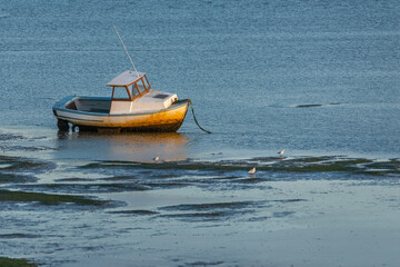 Moored boat illuminated by the rays of the setting sun on the shoal during low tide