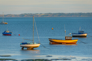 Fototapeta premium Moored boat illuminated by the rays of the setting sun on the shoal during low tide