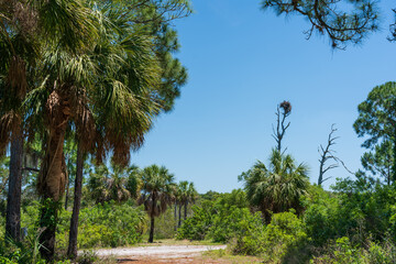 View from Honeymoon Island, Florida, USA.