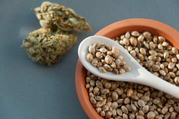 A bunch of cannabis seeds lie on a spoon and plate with several dried buds