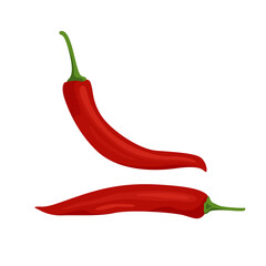 Realistic vector illustration of chilli pepper in a flat style isolated on white background. Vitamin c in paprika. Organic eco vegetable flavoring.