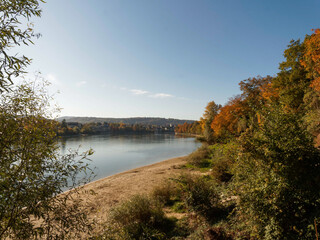 Obraz premium Rheinfelden (Baden). Bewaldetes Ufer in herbstlicher Farbgebung und kleiner Sandstrand auf deutscher Seite am Rheinufer gegenüber Rheinfelden (Aargau)