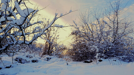 snow against the backdrop of a golden sunset