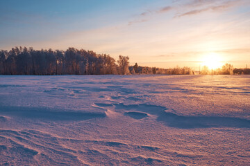 sun sets behind trees, winter landscape