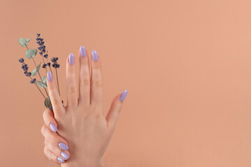 Hands of a beautiful well-groomed with feminine violet lavender nails gel polish on a beige background and eucalyptus branches, flowers. Manicure, pedicure beauty salon concept.