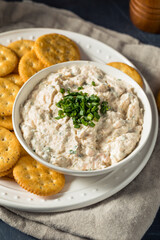 Homemade Smoked Salmon Dip