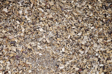 Sawdust wooden filling seamless background	