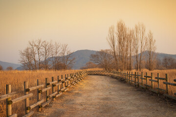 Obraz premium 울타리로 둘러싸인 한산한 가을 산책길 - A quiet autumn promenade surrounded by a fence