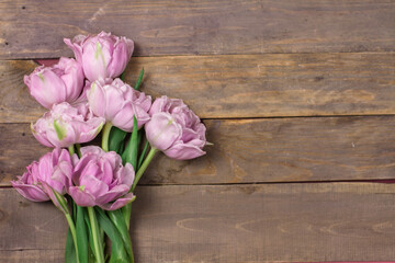 Pink tulip on wooden background.