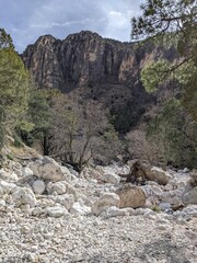 landscape in the mountains