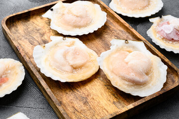 Fototapeta na wymiar Frozen seafood Scallops, on gray stone table background