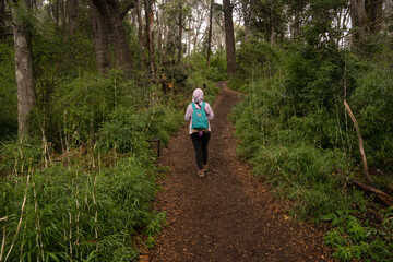 Taking a walk in the forest. View of a young woman hiking along the path in the woods. 