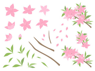 Obraz na płótnie Canvas 桃の花のイラスト素材セット