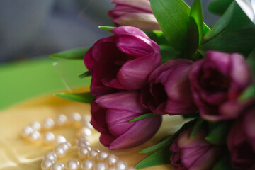 Bouquet of fresh purple tulips in cellophane wrapper on yellow and green background with pearl beads. Spring composition.