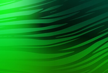 Dark Green vector blurred shine abstract texture.