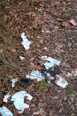 garbage, litter and corona mouth masks on the forest floor 