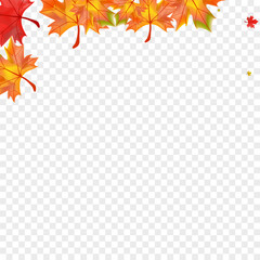 Autumnal Floral Background Transparent Vector. Leaves October Card. Colorful Forest Foliage. Beautiful Leaf Texture.