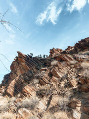 A morning in Palm Springs