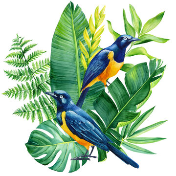 blue and orange birds tropical leaves clip art preview