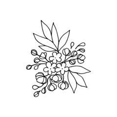 Flowering branch of spirea ornamental garden shrub, buds, flowers, leaves, outline drawing with liner.
