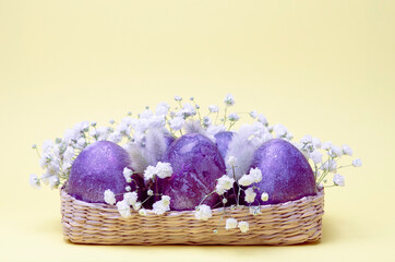 Happy Easter festive card. Chicken eggs in trendy purple very peri color and gypsophila flowers in a basket on yellow background. Natural dye karkade tea.	