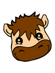 Gesicht niedliches Pferd 