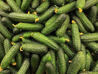 cucumbers on the market