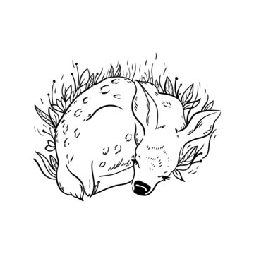 recommend clip art: vector illustration deer line animal sleeping