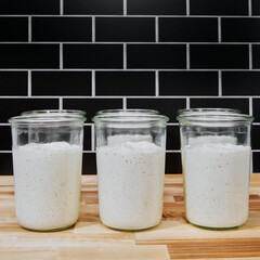 Side view of fermenting sourdough bread starter in glass jars on the kitchen counter with copy space