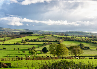 Fototapeta na wymiar Beautiful Sunny at Green Irish Countryside