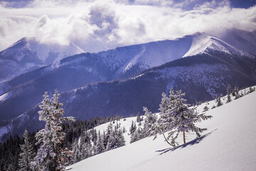 snow covered mountains