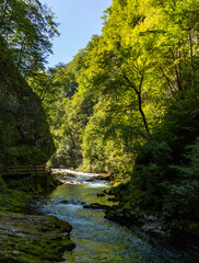 Vintgar Gorge