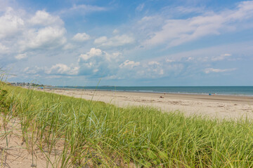 Beach grass, sand, ocean and sky