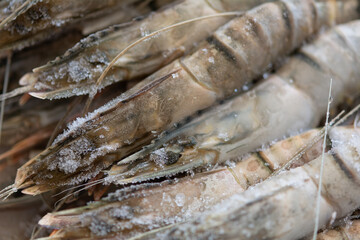 Tiger chrimp. Unpeeled frozen tiger prawns, close-up, selective focus, shallow depth of field.