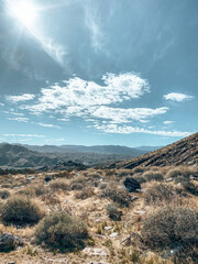 A morning in Palm Springs