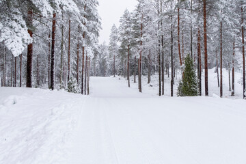 Winter landscape. Ski track in europe, winter sport. Ski slope in Lahti Finland
