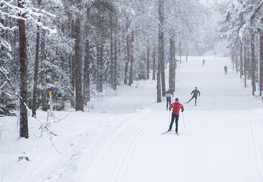 A group of skiers are skiing on a ski run in Europe.