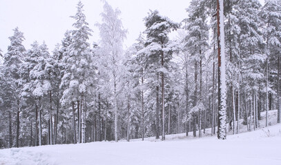 Winter landscape. Ski track in europe, winter sport. Ski slope in Lahti Finland