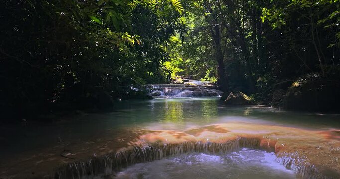 Serene nature background of river stream flowing under forest canopy