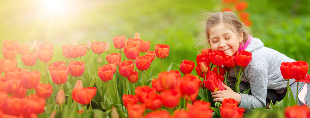 Cute girl picking red tulips in bouquet in the garden.