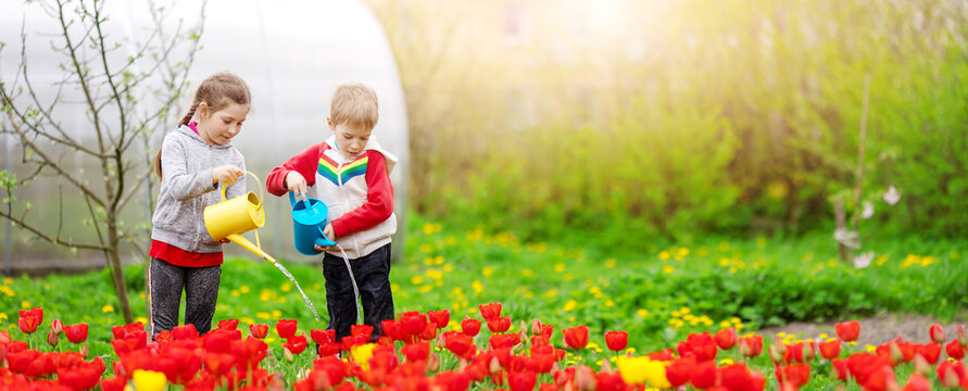 Two cute children watering flowers in the garden