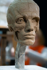 The process of creating ecorche. The sculptor is working. Sculpture of a human head with removed skin. Muscles and bones are shown.